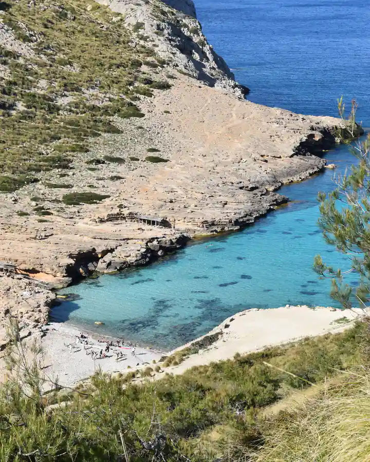 Cala Figuera din Mallorca, văzută de sus: un golf îngust cu nisip deschis la culoare, pini pe stâncă și apă tot mai adâncă.