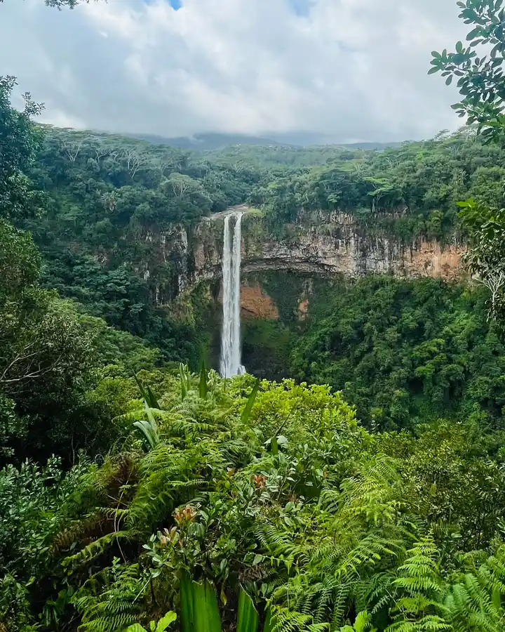 O cascadă într-un defileu verde din Mauritius, văzută de pe un punct de belvedere, printre ferigi.